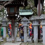 平成29年4月1日撮影　「金襦袢で勢ぞろい」　撮影：髙木一博